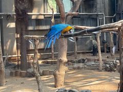 -大连森林动物园