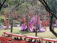 -云溪植物园