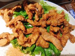 -肚社毛肚火锅