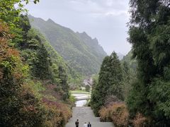 -娄山关景区