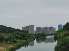 -绍兴镜湖国家城市湿地公园