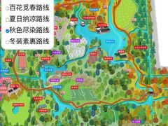 -上海共青森林公园