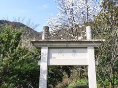 -杭州半山国家森林公园