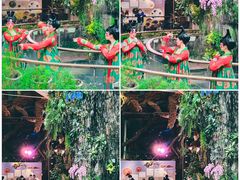 -正佳雨林生态植物园