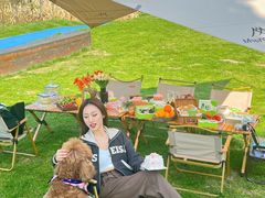 -艾溪湖湿地公园