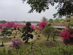 -盈香心动乐园