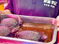 -聚味罗记大排檔·烧烤·鲜鱼杂·甲鱼煲(科学馆店)