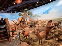 -陕西自然博物馆