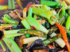 鳝鱼-清泉馆(望江路店)