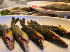 地锅昂刺鱼-大张烙馍村(三环南路旗舰店)