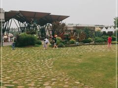 -上海长兴岛郊野公园