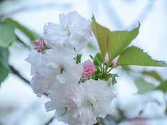 -九曲溪竹筏码头