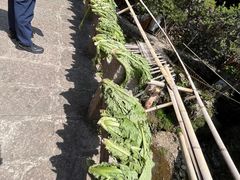 -林坑古村落