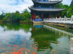 -黑龙潭公园