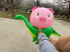 -西安秦岭野生动物园