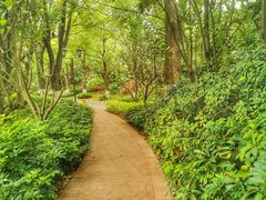 -东莞植物园