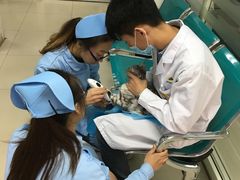 -康乐宝动物医院