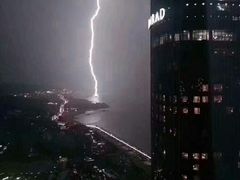 -猫咪博物馆(顶澳仔猫街店)