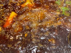 -肖肖酸萝卜鱼火锅(总店)