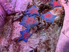 -沈阳海洋探索中心