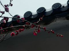 -南京市江宁方山