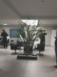 -付军剪艺JF ProSalon