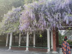 -洛阳市隋唐城遗址植物园