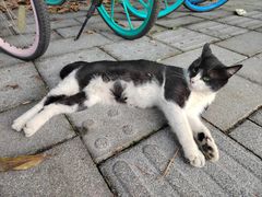 -同济大学(嘉定校区)