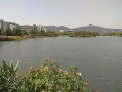 -江南大学(蠡湖校区)