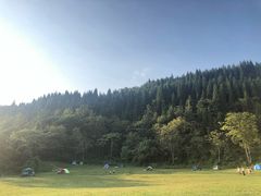 -武陵山森林公园