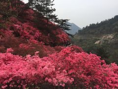 -木兰云雾山