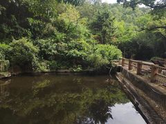 -石老人观光园