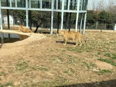 -西安秦岭野生动物园