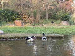 -上海浦江郊野公园-5号停车场