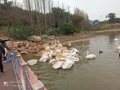 -乐和乐都主题乐园