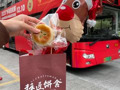 -广州都市观光巴士(粤陶巴)