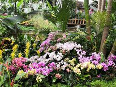 -北京植物园-展览温室