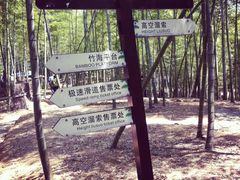 -宁波浙东大竹海景区