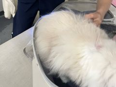 -拜鲁耶动物诊疗中心·宠家动物医院
