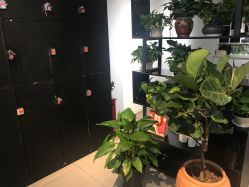 -魔型社