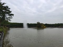 -大湾区中央湿地公园