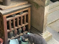 -老屋咖啡