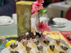 -渔意如意·首创金鲷顺德鱼生