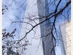 -世界贸易中心一号大楼