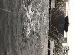 -碧桂园空港凤凰酒店(广州新白云机场店)