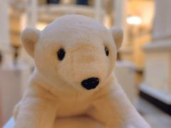 -羿庭(外滩华尔道夫酒店)