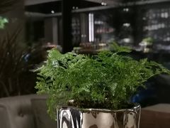 -villaa·别墅·融合菜西餐厅