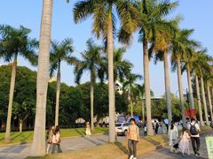 -厦门大学(思明校区)