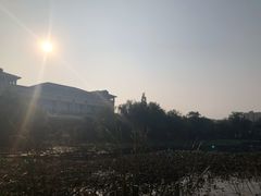 -赤火牛排(金狮广场店)