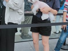 -Apple零售店(成都太古里店)